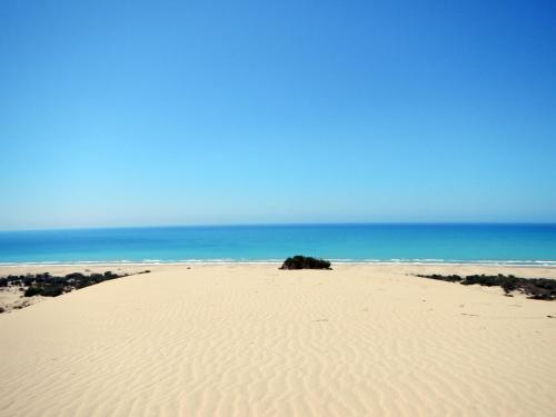 Фотография гостевого дома St. Nicholas Pension