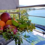 Фотография гостиницы Tino Hotel & SPA