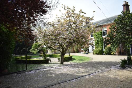 Фотография гостевого дома Glendower Guest Apartments