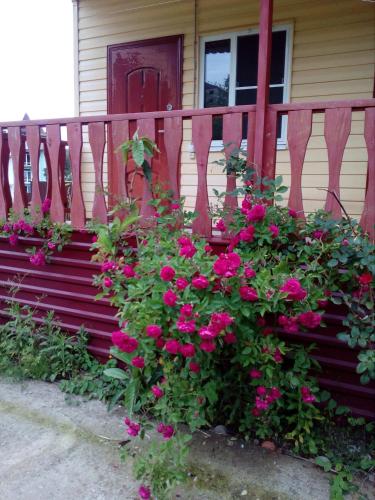 Фотографии гостевого дома 
            У моря