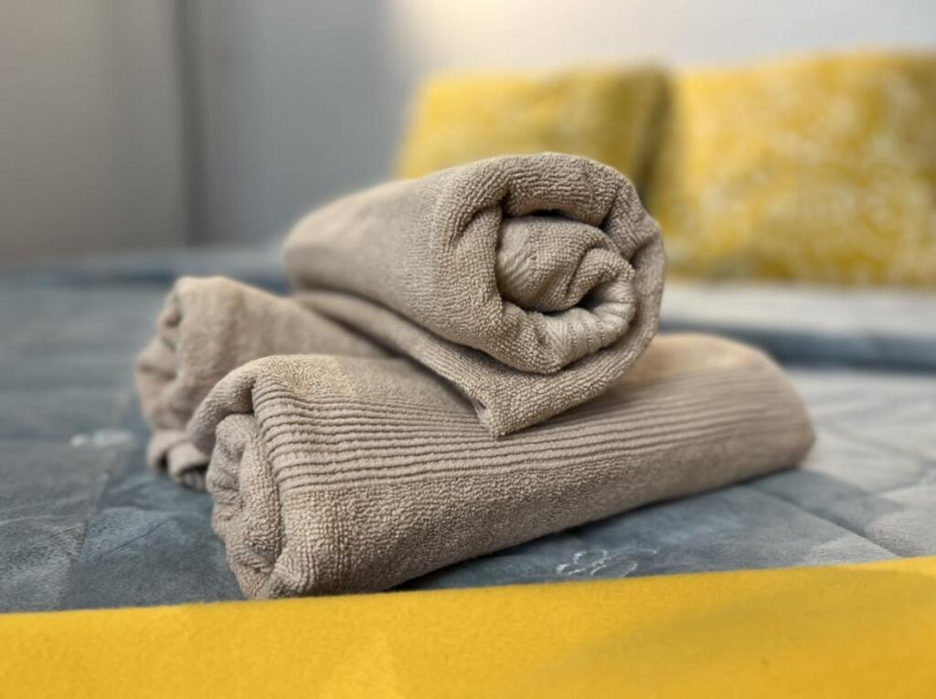 Фотография квартиры Диван и чемодан на Красном проспекте 94/1