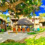 Фотография гостиницы Hotel Del Rio