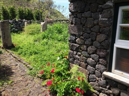 Фотография гостевого дома Quinta dos Frutos