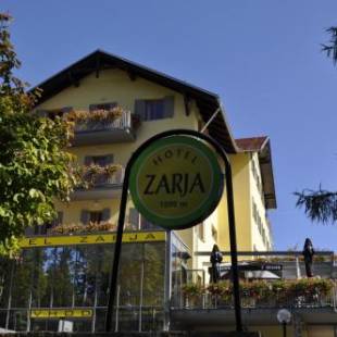 Фотографии гостиницы 
            Hotel Zarja
