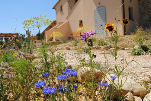 Фотография базы отдыха Sorelle Biologiche