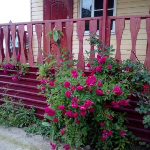 Фотография гостевого дома У моря