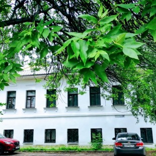 Фотография гостиницы Мудрый филин