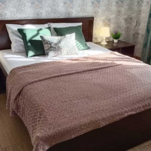 Фотография квартиры Апартаменты 1к Красный Проспект