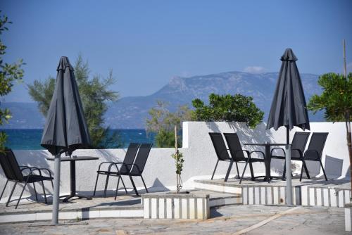 Фотография гостевого дома Family apartments 1