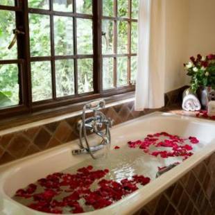 Фотографии гостиницы
Rivertrees Country Inn