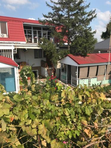 Фотографии гостевого дома
Здоровье