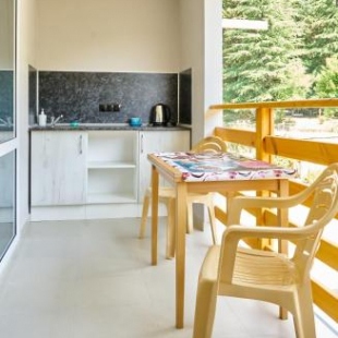 Фотография гостевого дома MIRAI