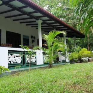 Фотографии мини отеля
Sigiri Saman Home Stay