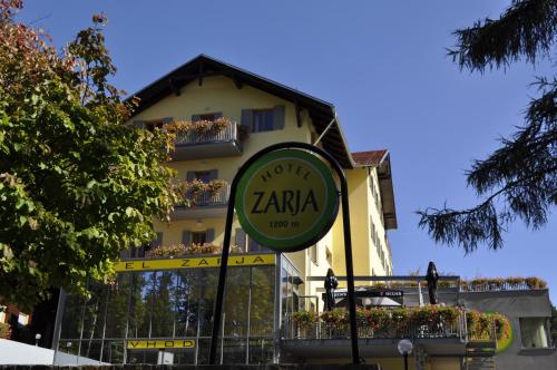 Фотография гостиницы Hotel Zarja