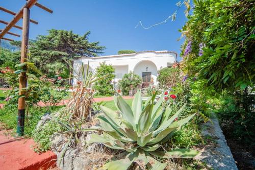 Фотография мини отеля B&B Villa Antica