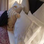 Фотография гостевого дома Astley Cottage