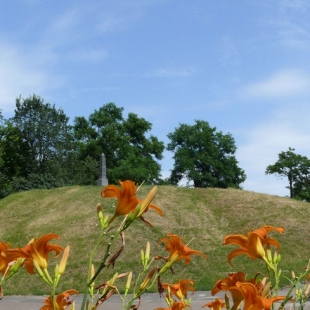 Фотография Курган Черная могила