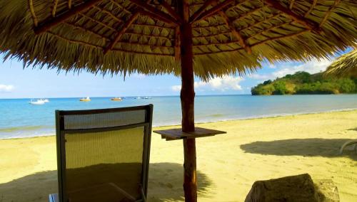 Фотография гостиницы Tropical Paradise Nosy Be