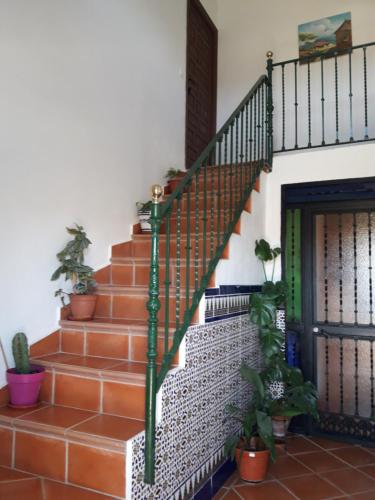 Фотография гостевого дома Casa El Azahin