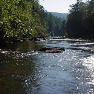 Фотографии гостевого дома 
            PICK's RIVERSIDE RETREAT