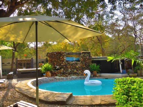 Фотография хостела Victoria Falls Backpackers Lodge