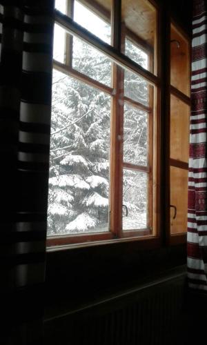 Фотографии гостевого дома
Хатки На Пеньках