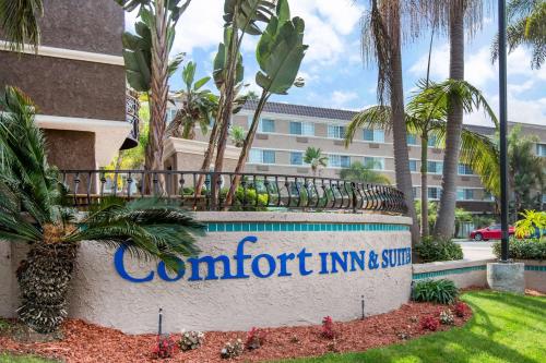 Фотографии гостиницы
Comfort Inn & Suites San Diego Zoo SeaWorld Area