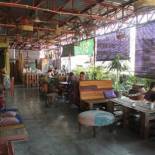 Фотография хостела Birdnest Guesthouse, Gaia Rooftop Cafe