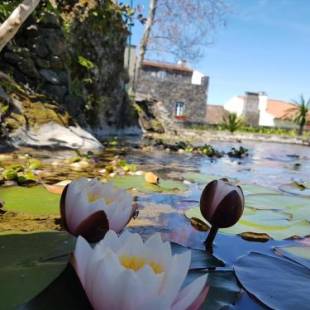 Фотографии гостевого дома
StoneWood Lodge AL