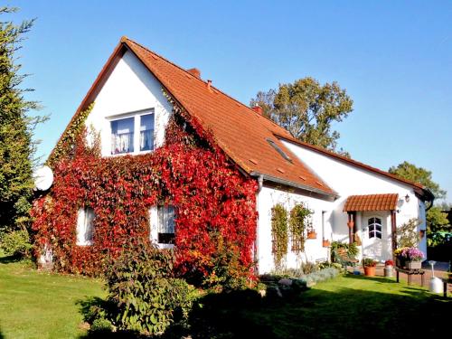 Фотография гостевого дома Bungalow und Ferienwohnung auf Rügen