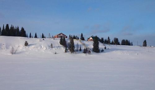 Фотографии гостевого дома
Усадьба Аранец