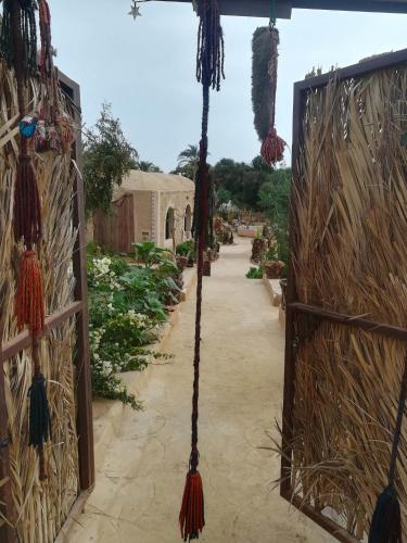 Фотография гостиницы Mountain Camp Ali Khaled