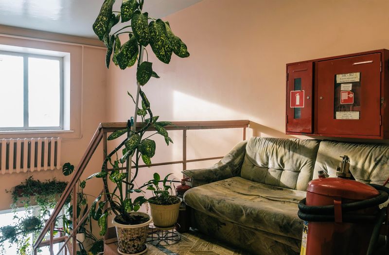 Фотография хостела ЭкоСтройСервис