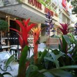 Фотография гостиницы Adonis Ajaccio - Hôtel Albion