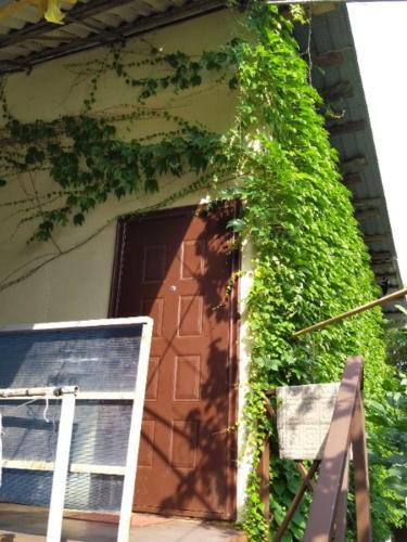 Фотография гостевого дома У Костиных