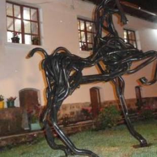 Фотографии мини отеля 
            Villa Victoria