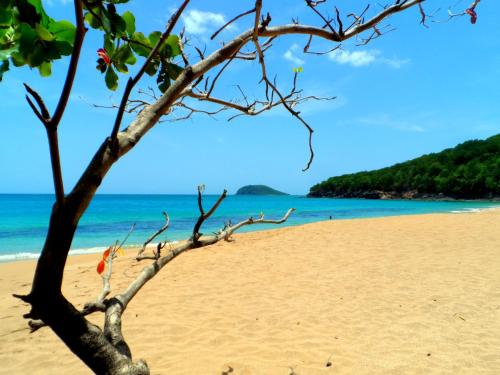 Фотография мини отеля Gites Rose des Vents