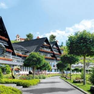 Фотографии гостиницы
Hotel Dollenberg