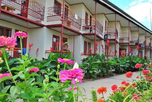 Фотография гостиницы Абрикос