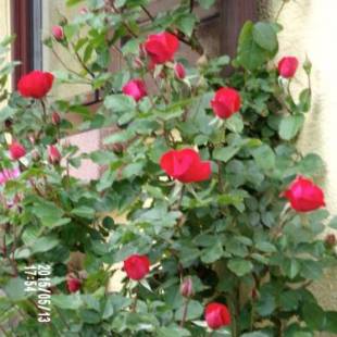 Фотографии мини отеля
Chambres D'hotes Du Vignoble