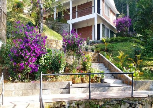 Фотография гостиницы Falling Waters Munnar