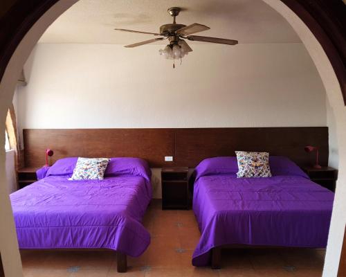 Фотография мини отеля Casa la Feria - Céntrico