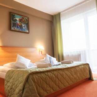 Фотографии гостиницы 
            Hotel Rivulus