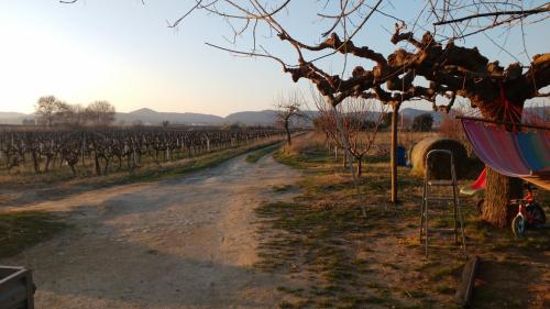Фотография гостевого дома Gîte à la ferme