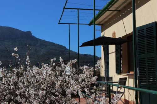 Фотография гостевого дома Villa Ideal