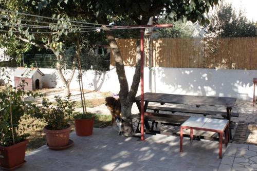 Фотография гостевого дома Apartments with a parking space Medulin - 7295