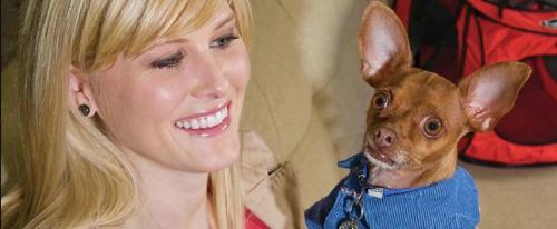 Фотографии гостиницы
Home2 Suites By Hilton Martinsburg, Wv