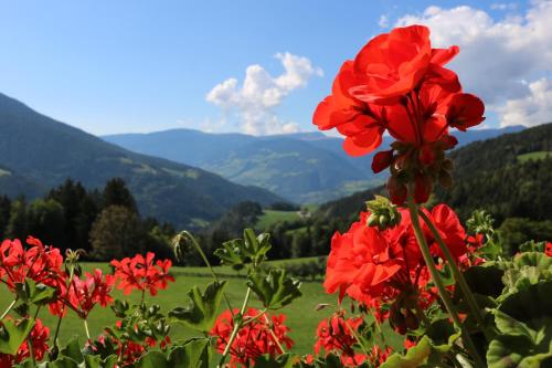 Фотография базы отдыха Gasleidhof