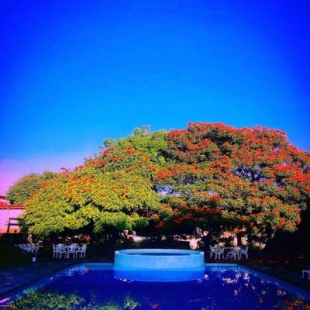 Фотография гостиницы Los Cruxes