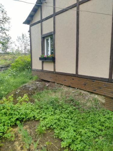 Фотография гостевого дома Высокий дворик